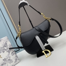 Dior Saddle Bags